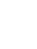 Fully Trained Professional