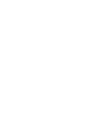 Fully Trained Professional